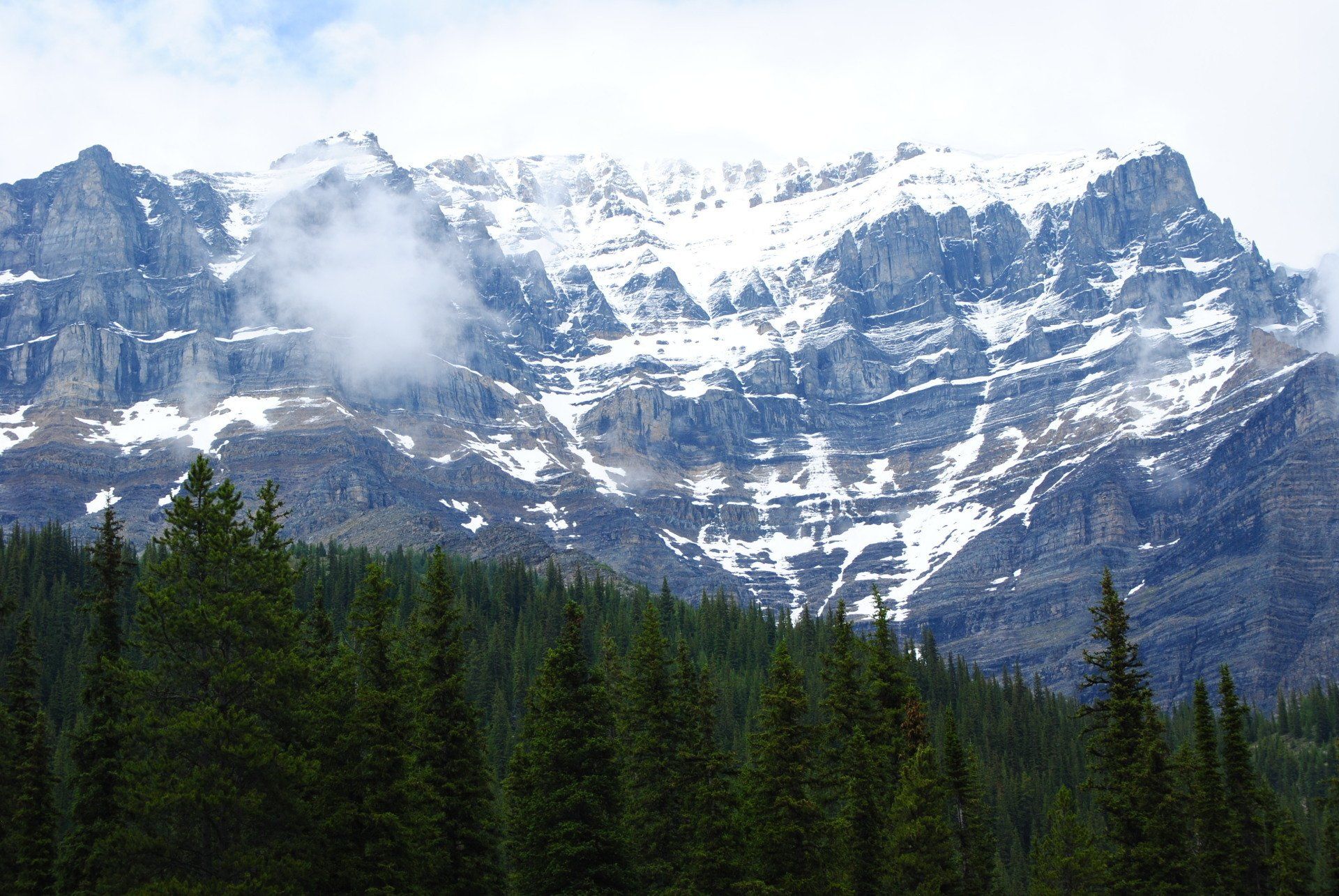 A snowy mountain with trees in the foreground