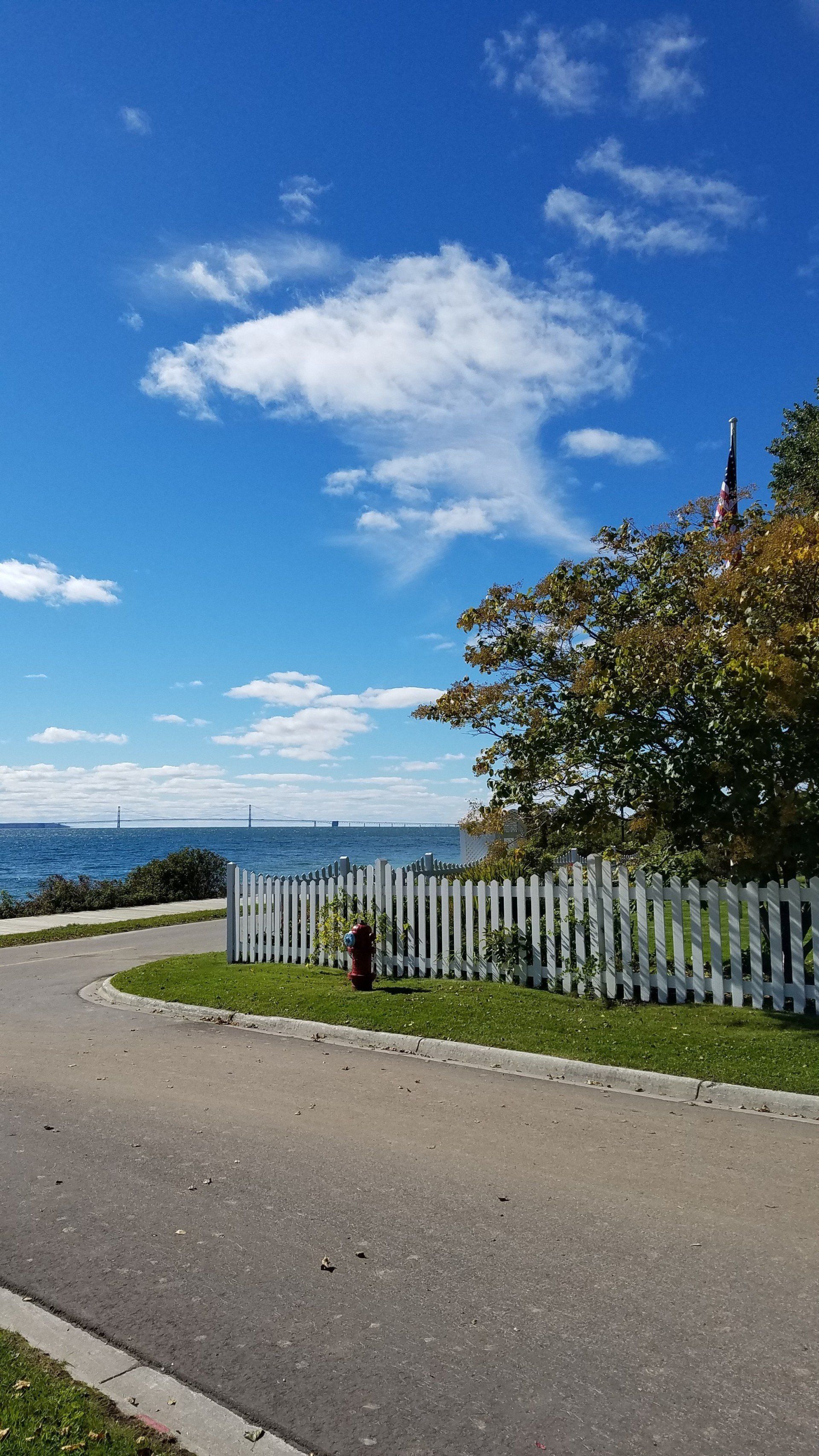 There is a fire hydrant on the side of the road.