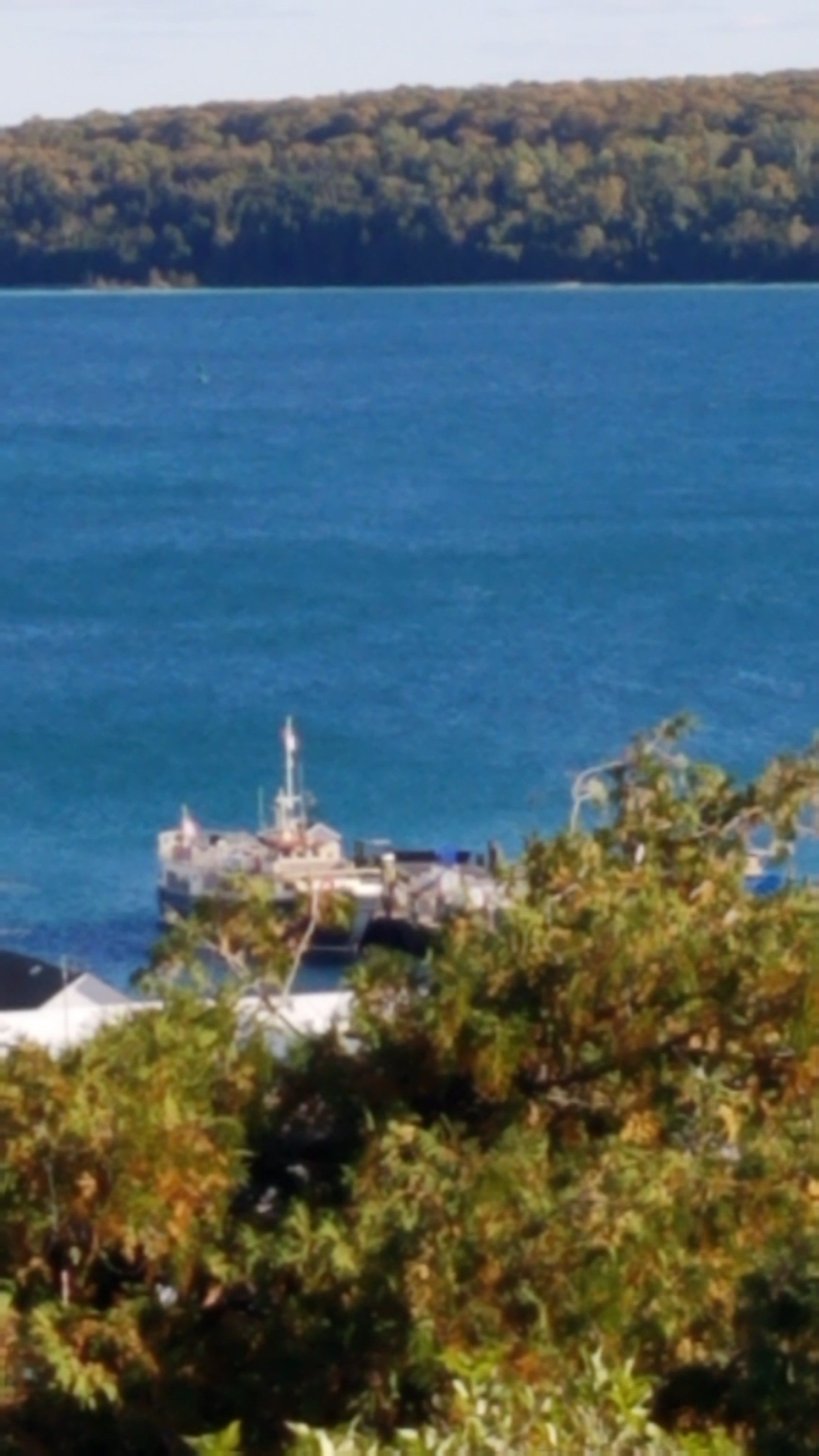 A large body of water with trees in the foreground