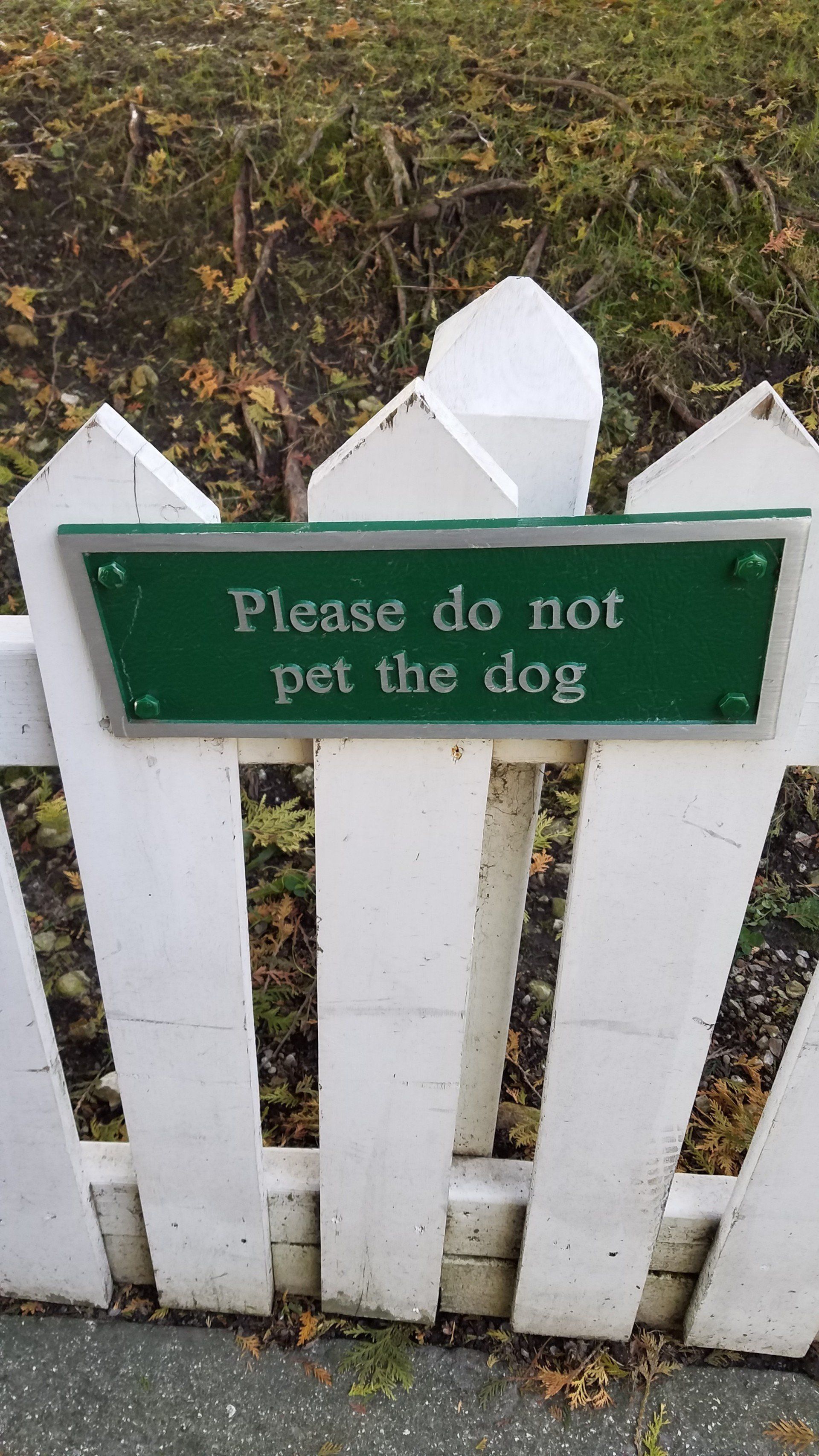 A white picket fence with a green sign that says please do not pet the dog