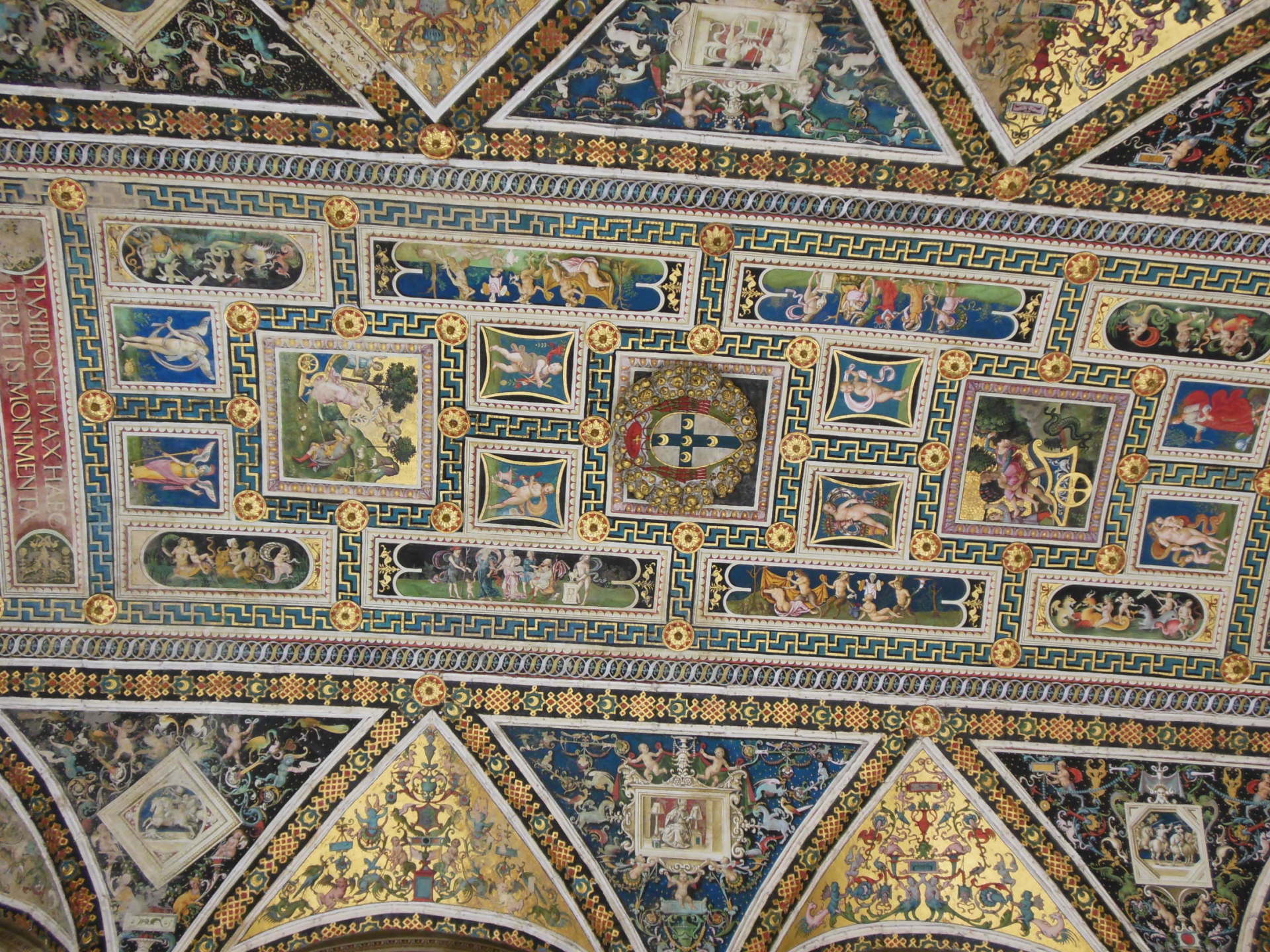 A ceiling with a lot of pictures on it