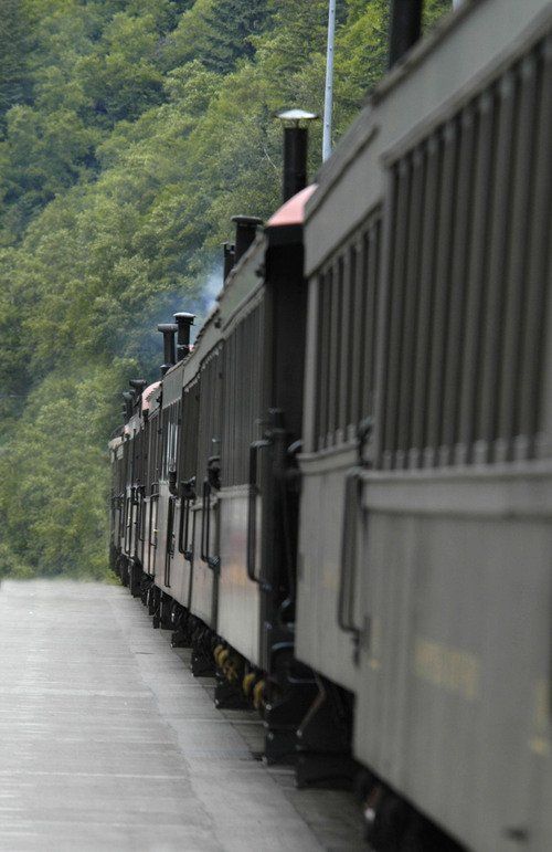A train is pulling into a station with trees in the background.