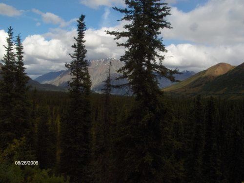 A picture of a forest with mountains in the background was taken on 09/29/2009
