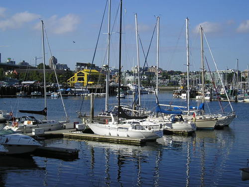 A row of sailboats are docked in a harbor