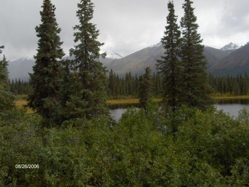 A lake surrounded by trees with mountains in the background