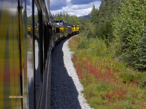 A train is going around a curve in the woods