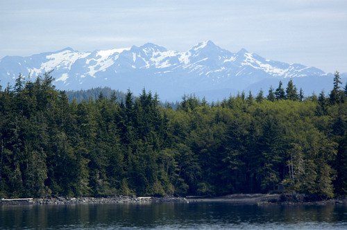 A lake with mountains in the background and trees in the foreground.
