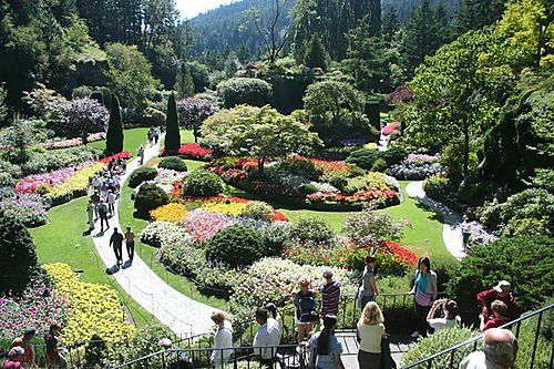 A group of people are walking through a lush green garden