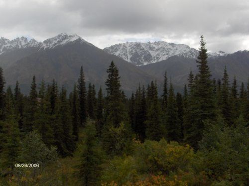 A forest with mountains in the background on a cloudy day