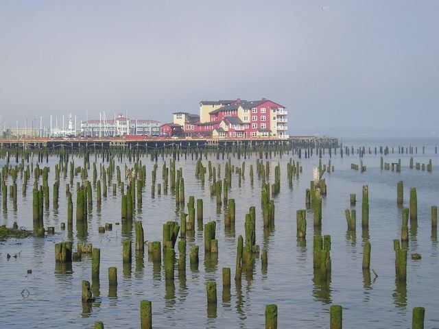 A large building is visible in the distance behind a body of water
