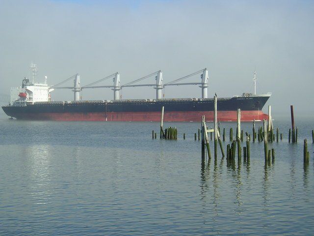 A large ship is floating in the water near some wooden posts