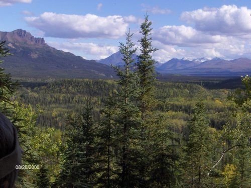 A landscape with mountains in the background and trees in the foreground