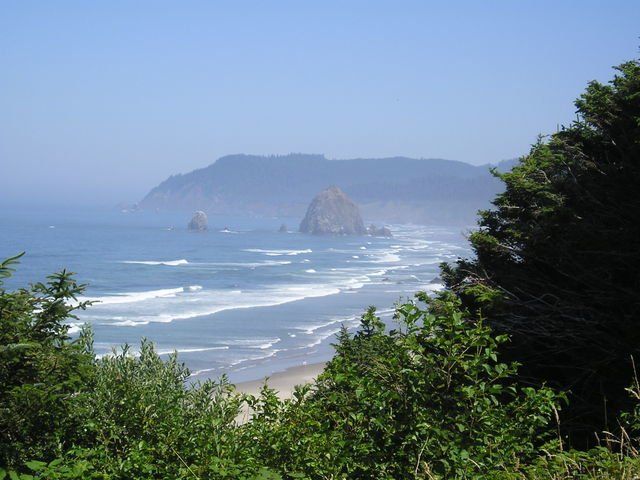 A view of a beach with a mountain in the background