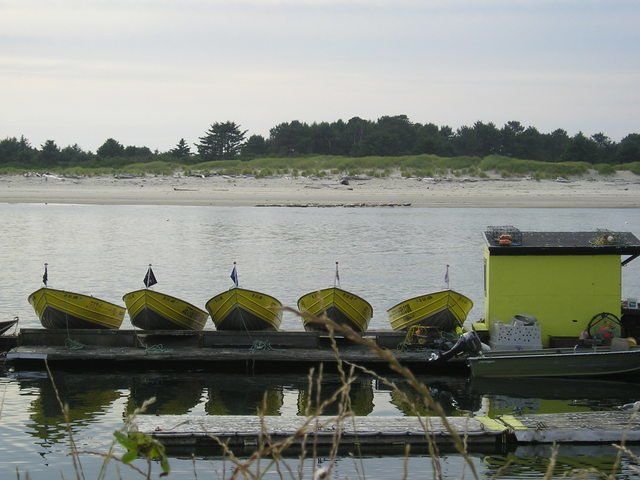 A row of yellow boats are docked on a dock