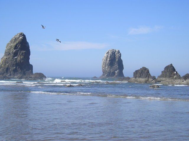 Birds flying over a body of water with rocks in the background
