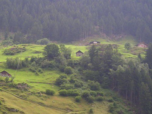 A small village in the middle of a lush green forest