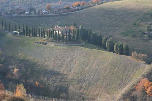 A house is sitting on top of a hill surrounded by trees.