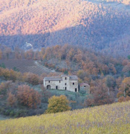 A house is sitting on top of a hill in the middle of a forest.