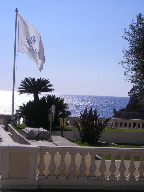 A white flag with a crown on it is flying in front of the ocean