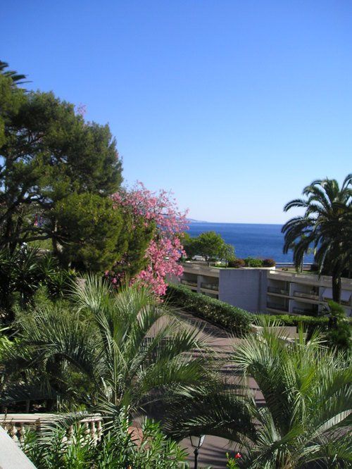 A view of the ocean with palm trees in the foreground