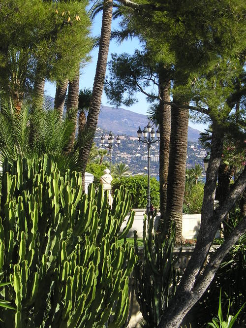 A lush green forest with a city in the background