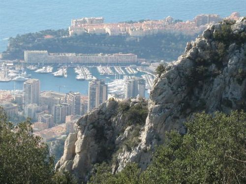 A view of a city from the top of a mountain