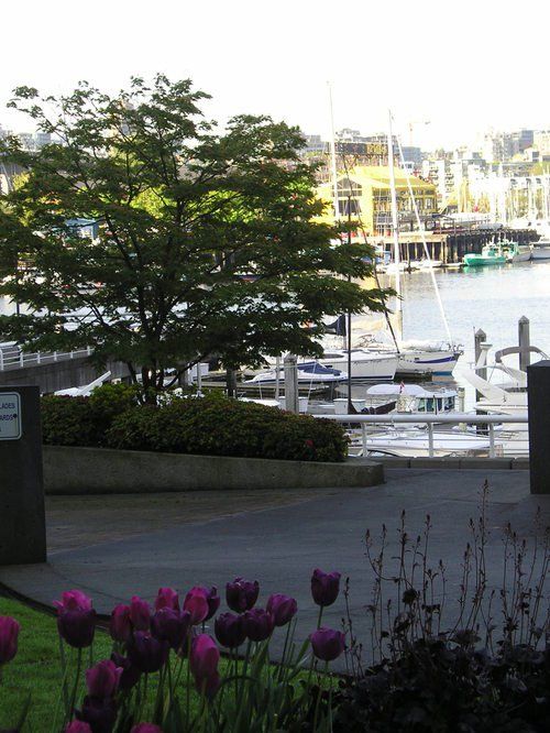 A bunch of boats are docked in a harbor with flowers in the foreground