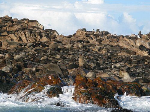 A rocky shoreline with waves crashing against the rocks