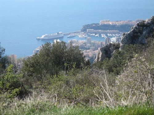 A view of a city from a hill overlooking the ocean.