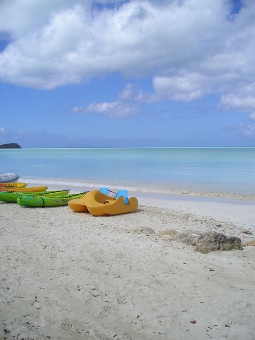 A row of yellow and green kayaks on a beach