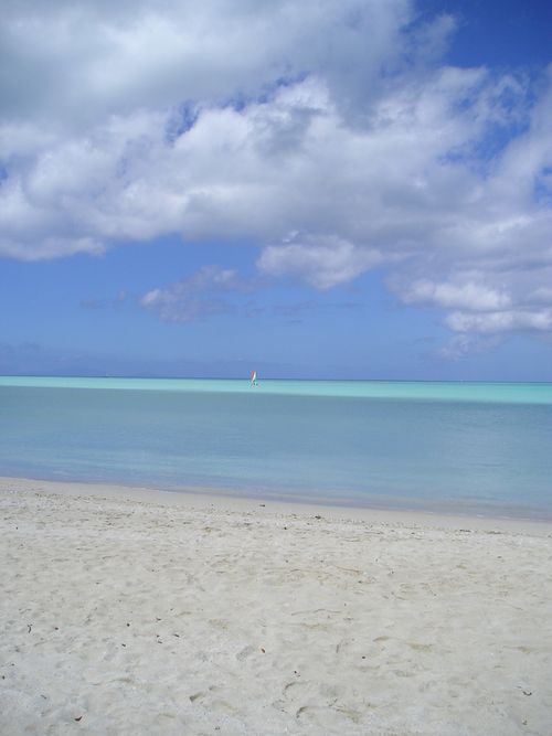 A beach with a boat in the distance and a blue sky with clouds.