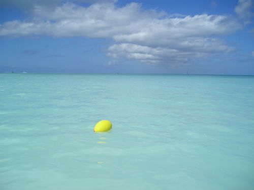 A yellow buoy is floating in the ocean.