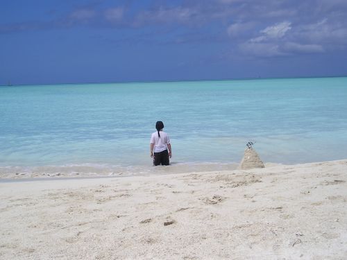 A person standing on a beach looking at the ocean