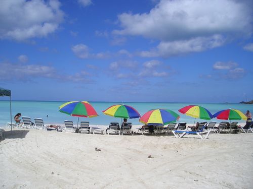 A row of colorful umbrellas on a beach