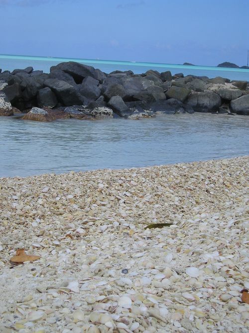 A rocky beach with a body of water in the background