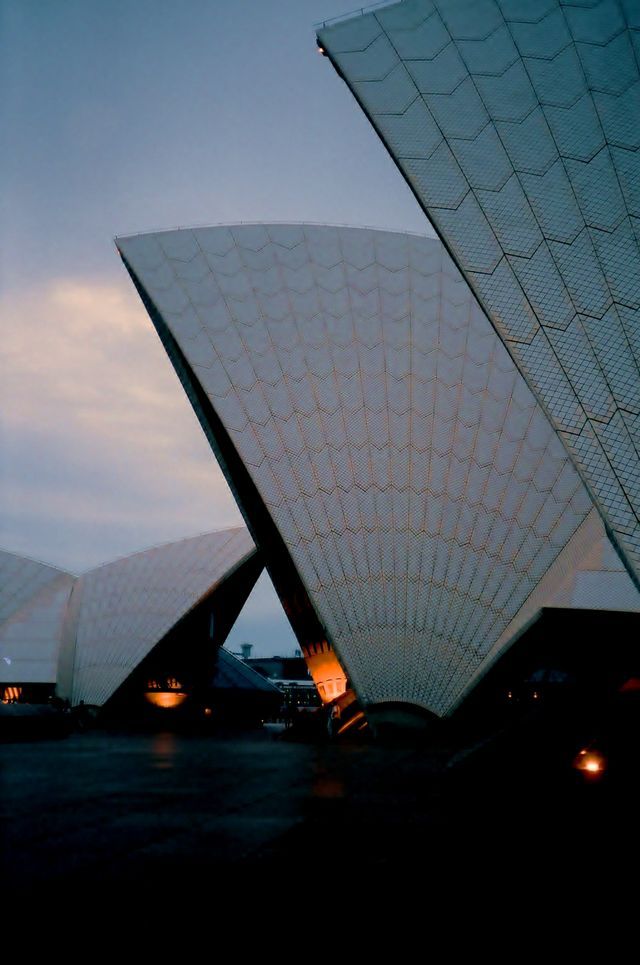 The sydney opera house is lit up at night