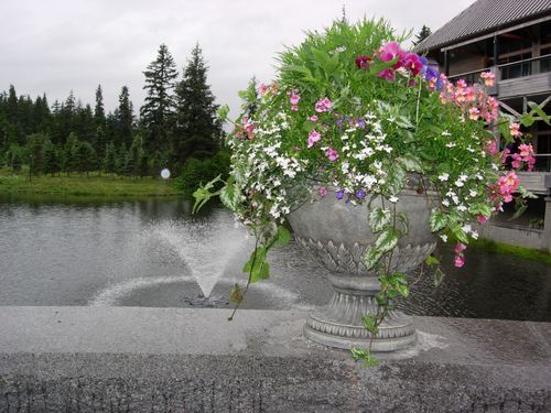 A large vase filled with flowers sits next to a pond