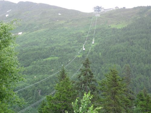 A ski lift is going up a mountain surrounded by trees.