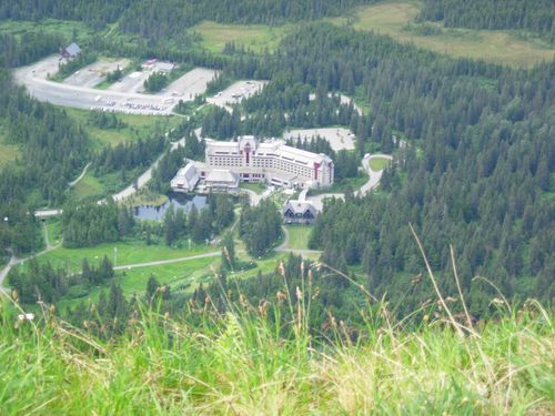 An aerial view of a large building in the middle of a forest