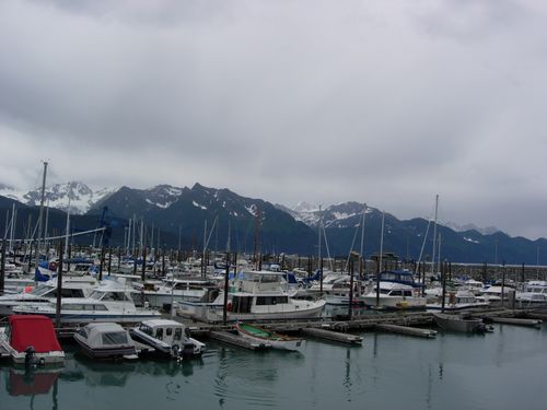 A row of boats are docked in a marina with mountains in the background.