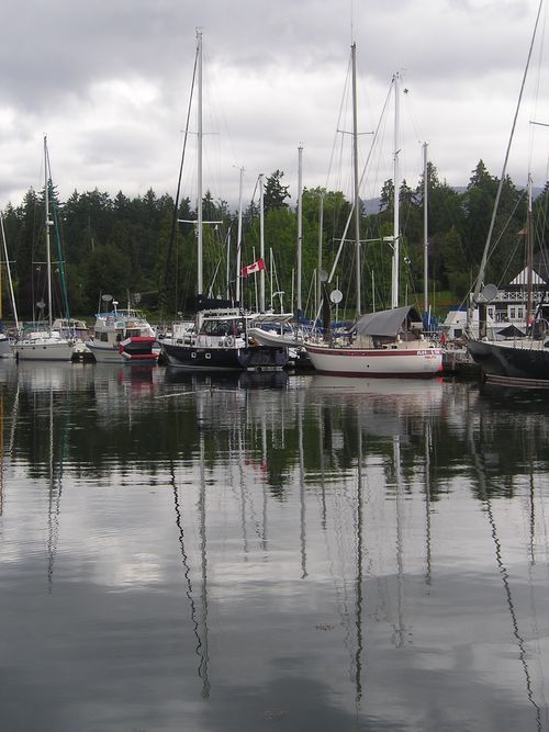 Boats are docked in a harbor on a cloudy day
