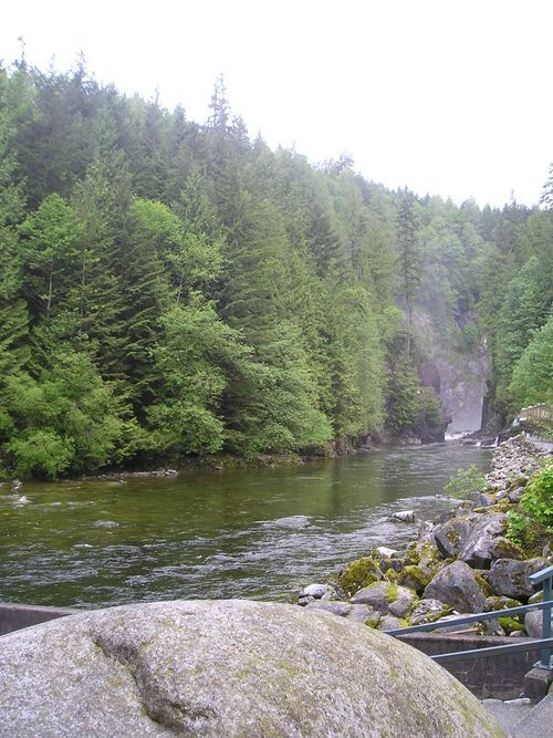 A river surrounded by trees and rocks with a waterfall in the background