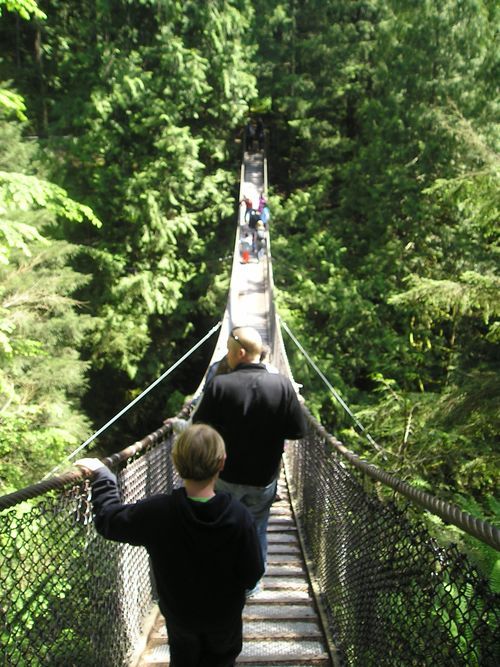 People are walking across a suspension bridge in the woods
