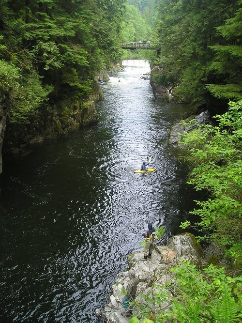 A person in a yellow kayak is paddling down a river surrounded by trees