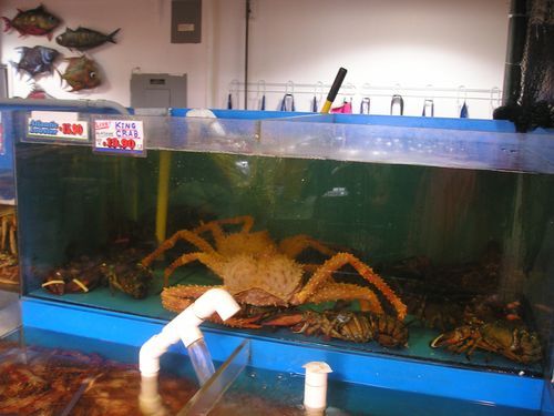 A large crab in a tank with a sign that says king crab