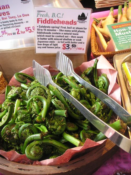 A bowl of fresh bc fiddleheads with tongs