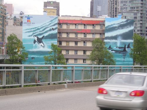 A car is driving past a mural of killer whales on the side of a building