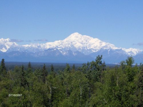 A mountain with snow on it is surrounded by trees