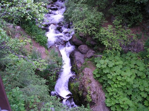 A waterfall is surrounded by trees and rocks in the middle of a forest.