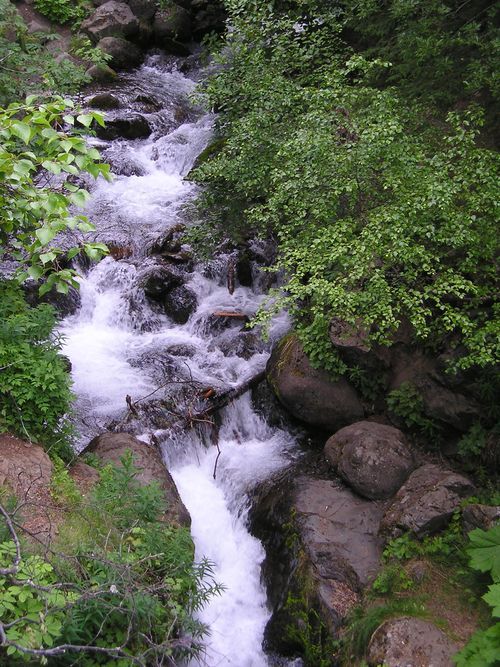 A small waterfall in the middle of a forest surrounded by rocks and trees.